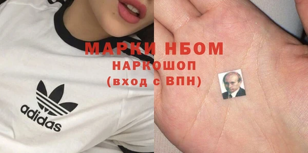 гашик Ладушкин