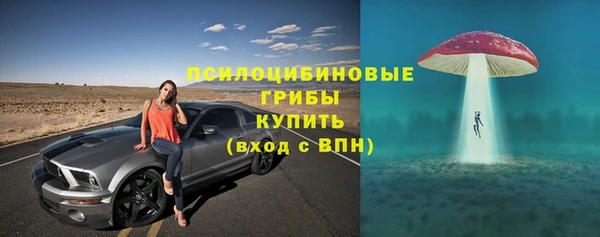 гашик Ладушкин