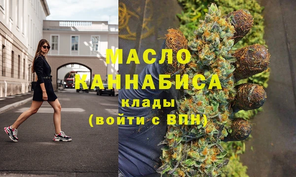 гашик Ладушкин