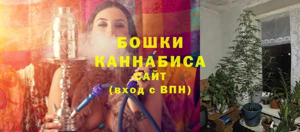 гашик Ладушкин