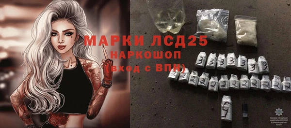 гашик Ладушкин