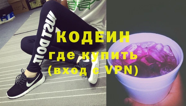 гашик Ладушкин
