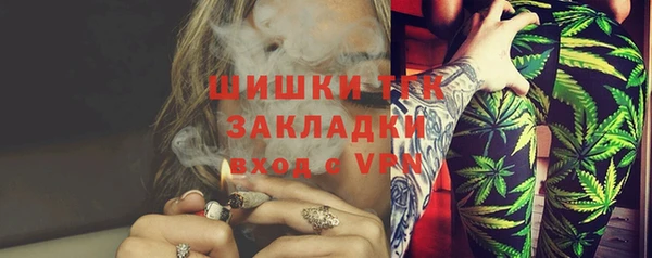 гашик Ладушкин