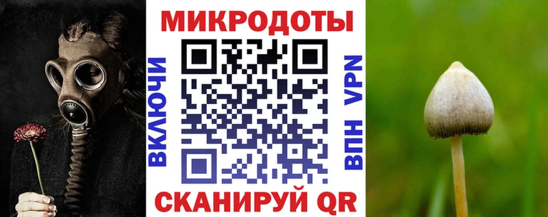 Псилоцибиновые грибы прущие грибы  Урень 